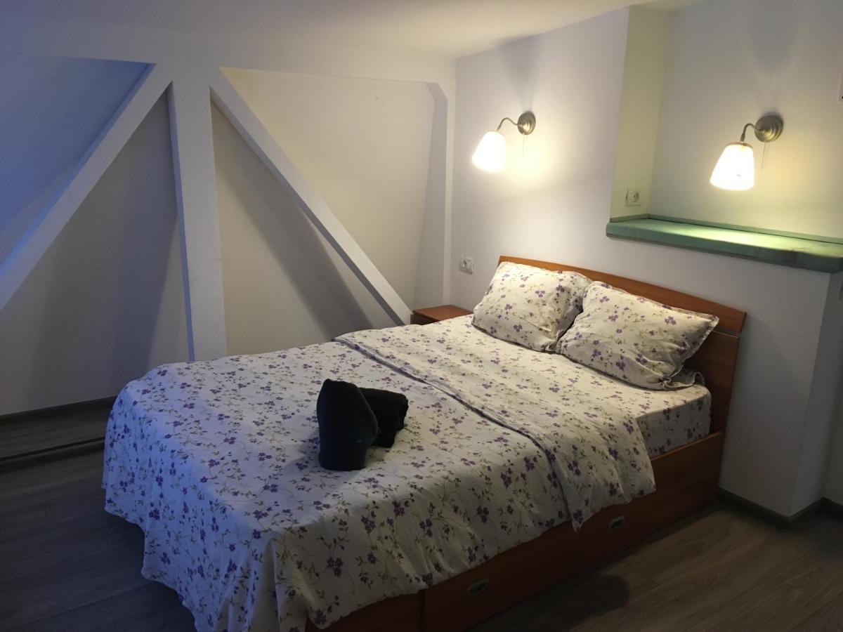 Fantasy Terasa Apartment Brasov Ngoại thất bức ảnh